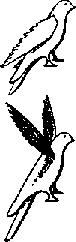Что я видел (сборник) - i_272.png