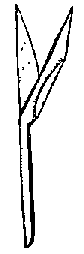Что я видел (сборник) - i_273.png