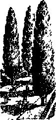Что я видел (сборник) - i_287.png