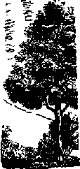 Что я видел (сборник) - i_289.png