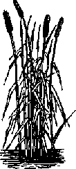 Что я видел (сборник) - i_292.png