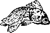 Что я видел (сборник) - i_303.png