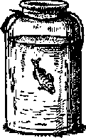Что я видел (сборник) - i_304.png