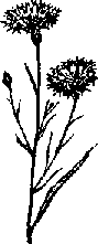 Что я видел (сборник) - i_320.png