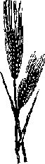 Что я видел (сборник) - i_321.png