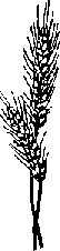 Что я видел (сборник) - i_322.png