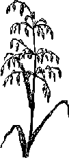 Что я видел (сборник) - i_323.png