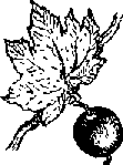 Что я видел (сборник) - i_329.png