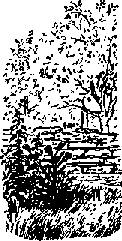 Что я видел (сборник) - i_334.png