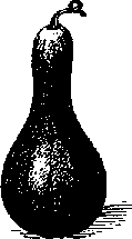 Что я видел (сборник) - i_337.png