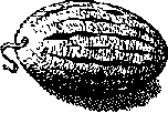 Что я видел (сборник) - i_338.png