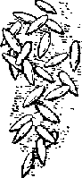 Что я видел (сборник) - i_339.png