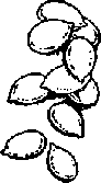 Что я видел (сборник) - i_344.png