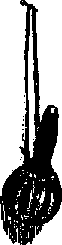 Что я видел (сборник) - i_346.png