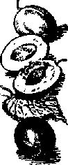 Что я видел (сборник) - i_355.png