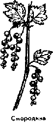 Что я видел (сборник) - i_359.png