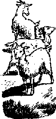 Что я видел (сборник) - i_377.png