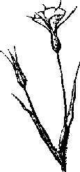 Что я видел (сборник) - i_391.png