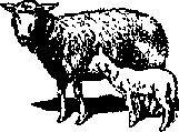 Что я видел (сборник) - i_395.png