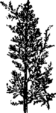 Что я видел (сборник) - i_397.png