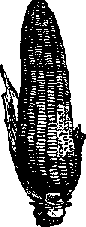 Что я видел (сборник) - i_402.png