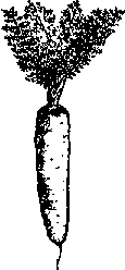 Что я видел (сборник) - i_405.png