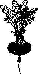 Что я видел (сборник) - i_408.png