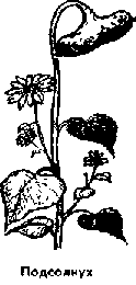 Что я видел (сборник) - i_409.png