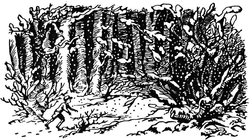 Лев, Чаклунка і стара шафа - _24.jpg