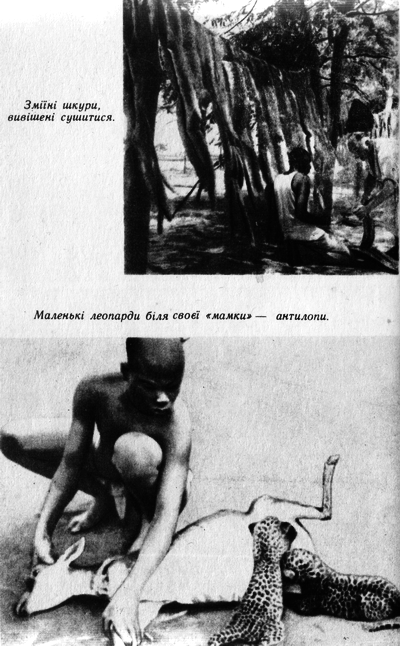 Таємнича Африка - doc2fb_image_03000013.png