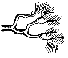 Река, текущая вспять - i_014.png