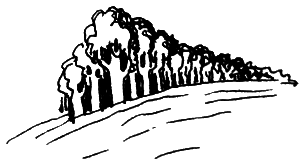 Река, текущая вспять - i_017.png