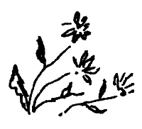 Река, текущая вспять - i_018.png