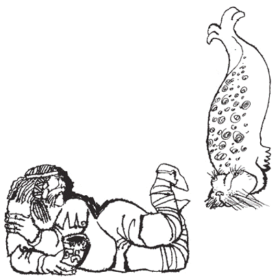 Подарки фей - pic_140.png