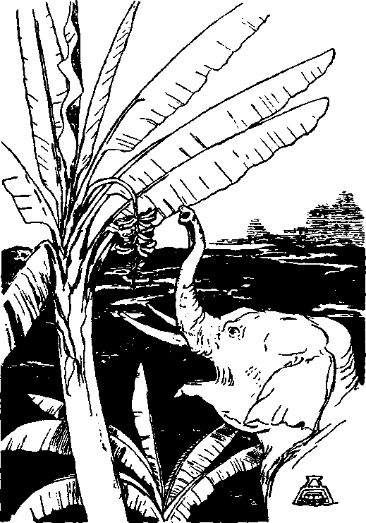 Собрание сочинений. Том 4. Рикша-призрак. Сказки и легенды. Труды дня - i_012.png