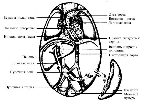 Прощаю себе. В 2 тт. Том 1 - _35.jpg