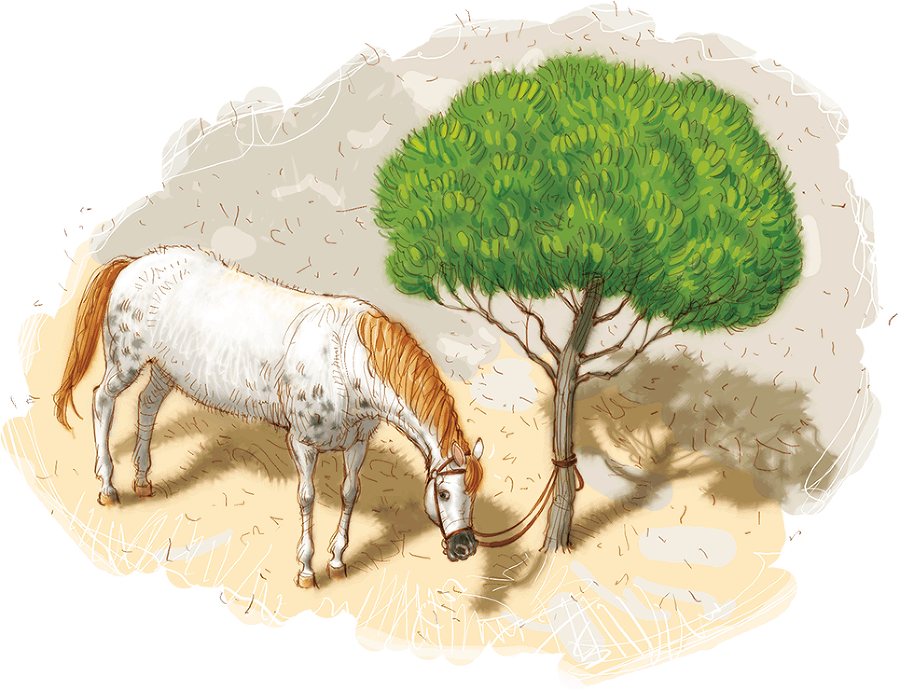 Пеппи Длинныйчулок поселяется в вилле «Курица» - i_019.png