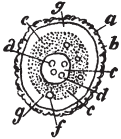 Все о рыбалке (сборник) - _156.png