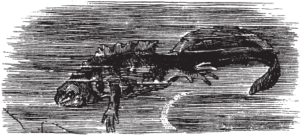 Все о рыбалке (сборник) - _162.png