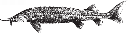 Все о рыбалке (сборник) - _182.png