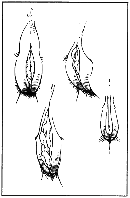 Библия секса - i_018.png