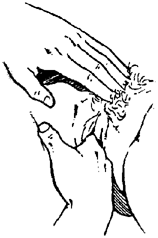 Библия секса - i_027.png