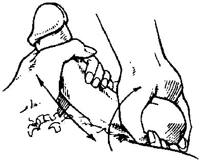 Библия секса - i_037.png