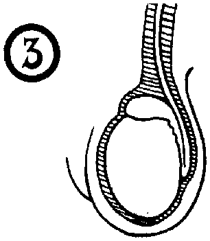 Библия секса - i_042.png