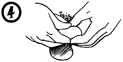 Библия секса - i_043.png