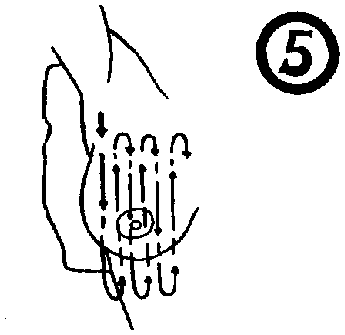 Библия секса - i_051.png
