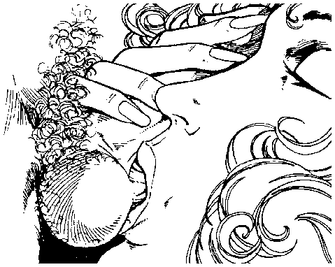 Библия секса - i_053.png