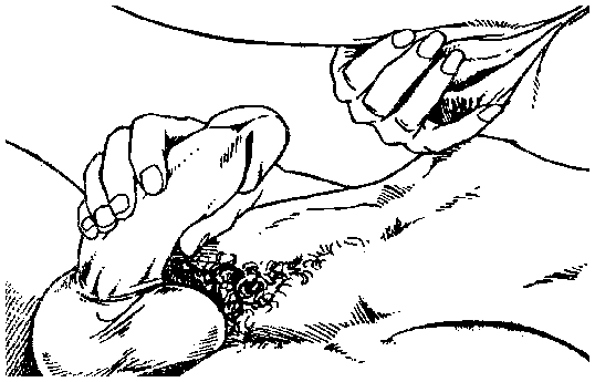 Библия секса - i_057.png