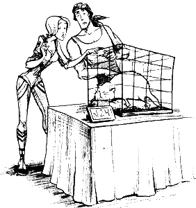 Космопсихолухи. Том 1 - i_029.png