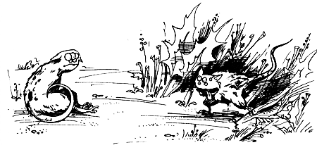 Космопсихолухи. Том 1 - i_057.png